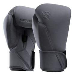 Hayabusa T360 Boxing Gloves